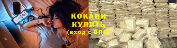сатива Чегем
