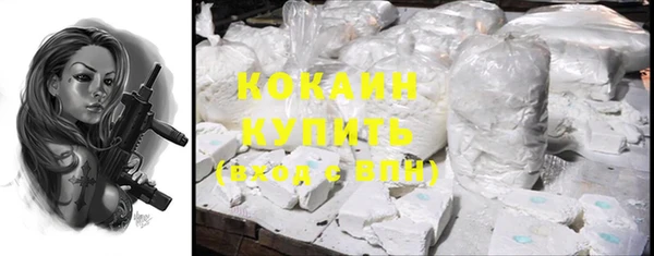 альфа пвп Гусев