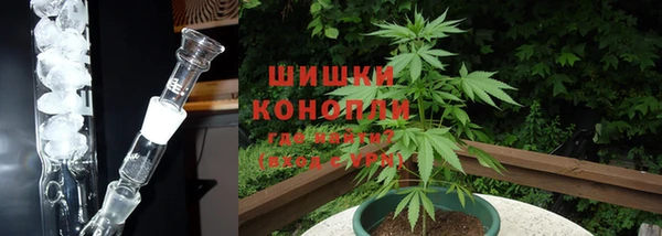 сатива Чердынь
