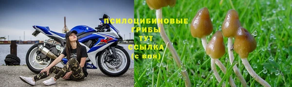 спайс Гусиноозёрск