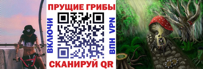 Галлюциногенные грибы Cubensis  Нязепетровск 